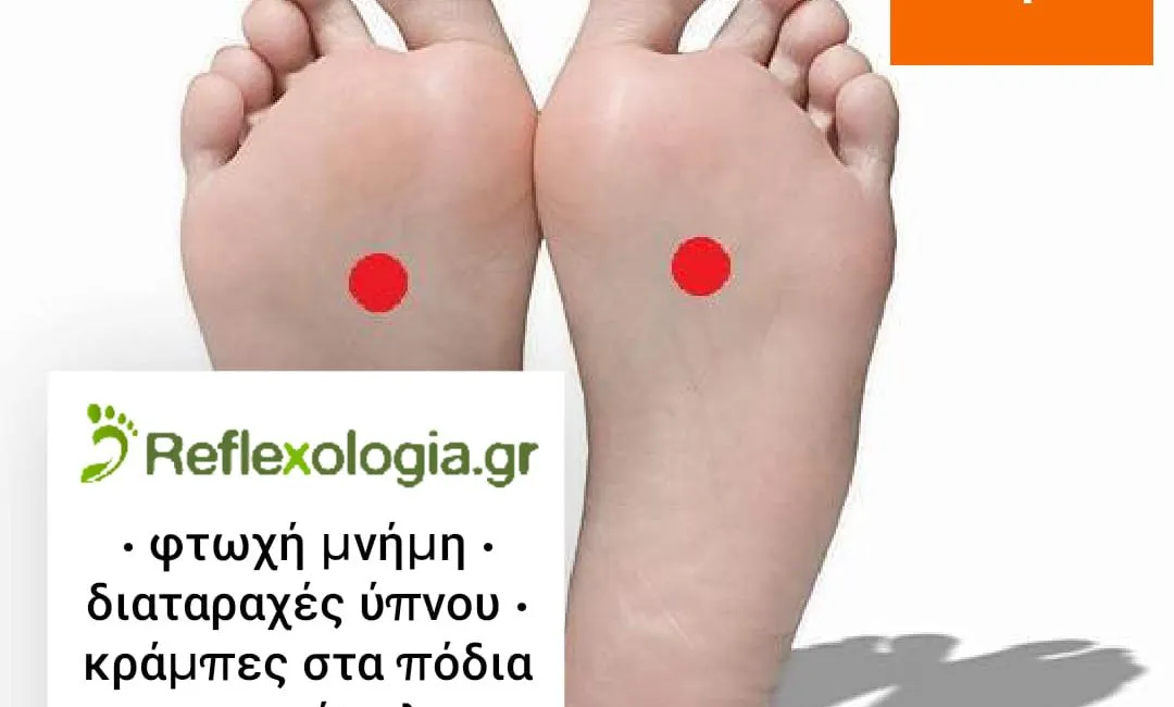 Νεφρό 1